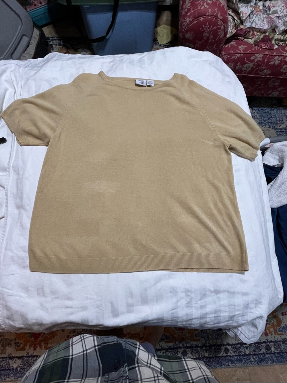 Lightweight Crewneck Top in Beige - Women's Short Sleeve Blouse